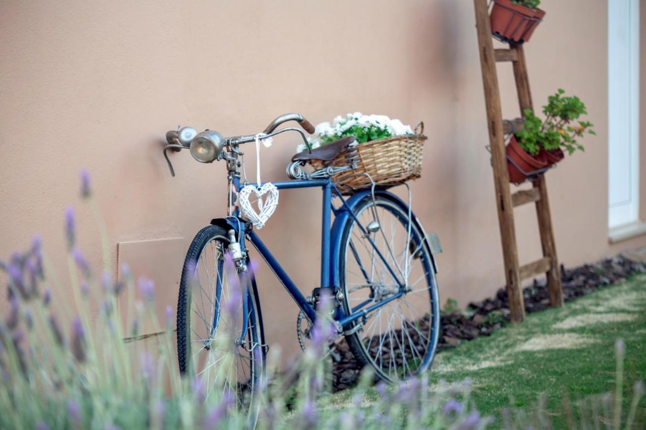 Alamos Retreat - Wellness & Yoga Boutique Bed & Breakfast 3*